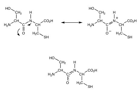 serylcysteine resonance structures