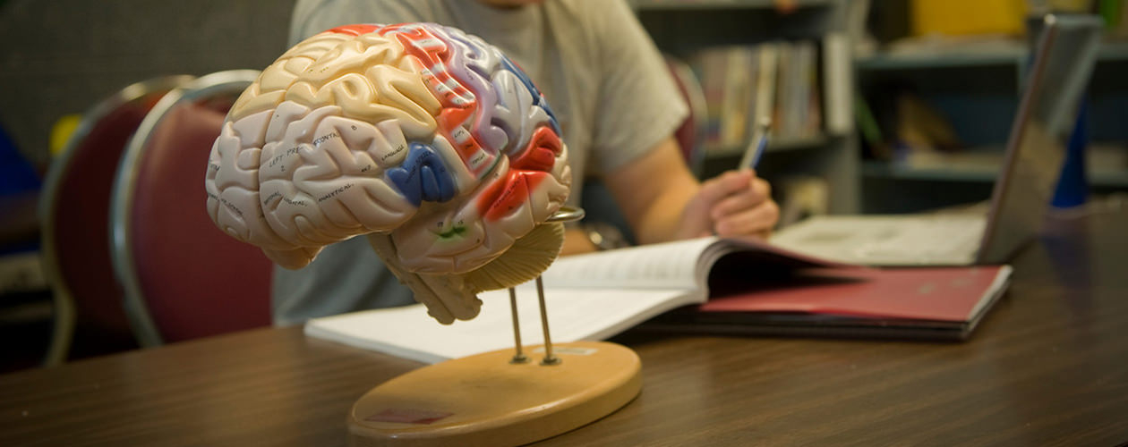 Psychology Department Westfield State University