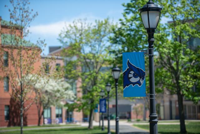 WSU campus in the spring with flowering trees and light post with blue owl spirit mark flag.