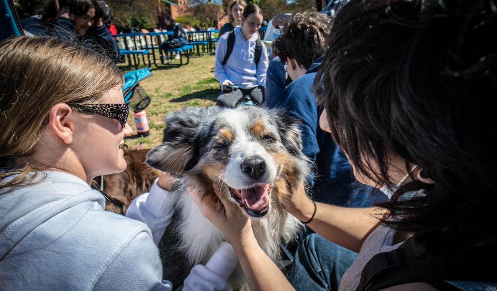 Two college students pet a border collie dog who is smiling.