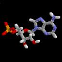 moleucle-biochem