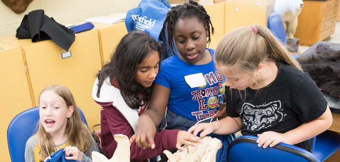 Westfield State University hosts students from Westfield elementary schools to promote interest in Science, technology, Engineering & Mathematics.