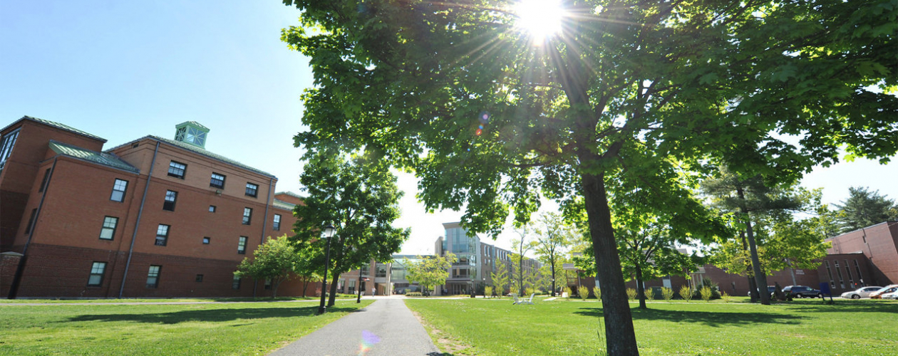 courtney hall in summer