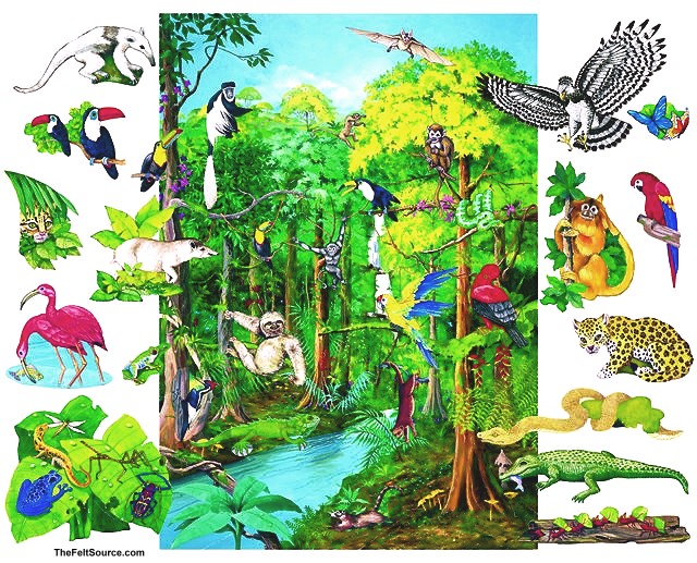 Тропические леса ярусы. Ярусность тропического леса. Биогеоценоз тропического леса. Тропические леса для детей. Животные тропического леса для детей.
