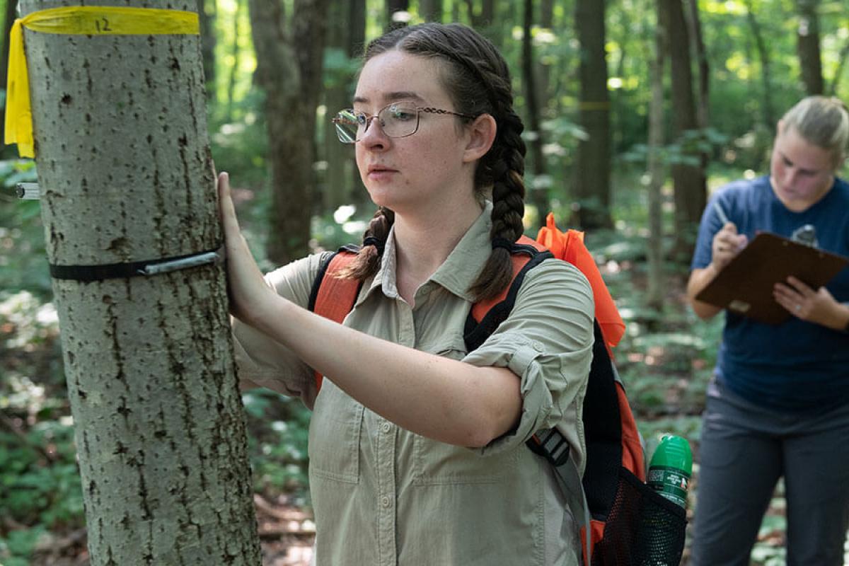 Two students conducting field work in a forest.