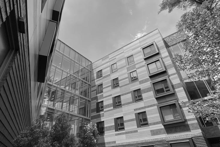 Image of the courtyard of University Hall in the springtime