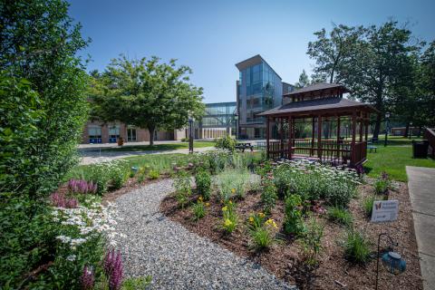 A new garden with freshly planted flowers, bushes, and shrubs, stands before a wooden gazebo. In the distance, the Science and Innovation Center is visible under a blue sky.