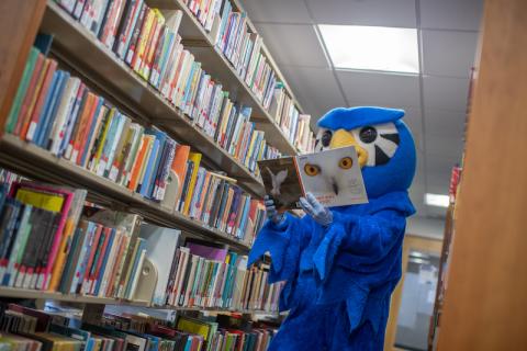Nestor, a blue colored Owl mascot, reads a book with a white owl face on its cover.