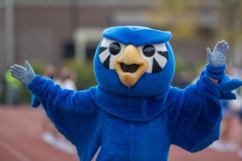 A photo of Nestor the Owl with his hands raised in celebration for the 2024 Family Weekend event!