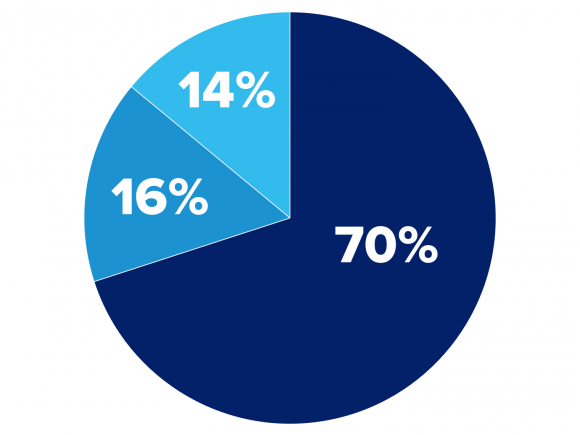 demographics pie chart