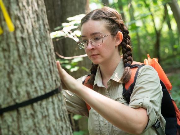 Female student in glasses tagging trees in the woods