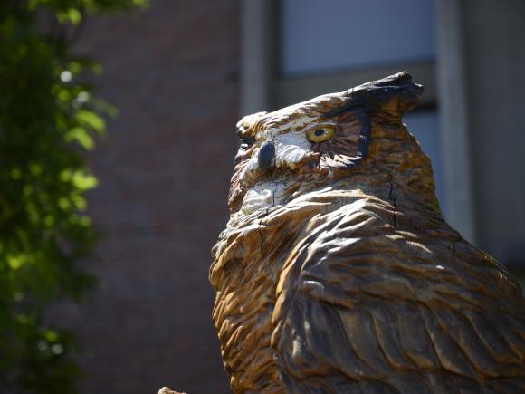 Photo of wood owl sculpture in front of the Ely campus center