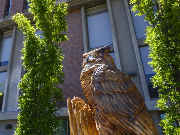 image of wood owl sculpture outside of the Ely Campus Center