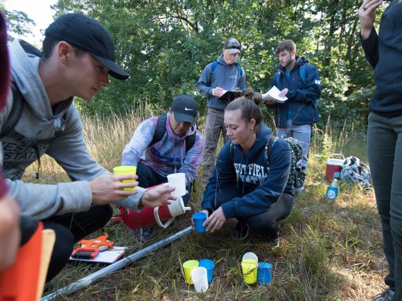 A group of students gather data in a field for restorative ecology