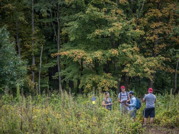 Environmental studies students out in a field doing lab work