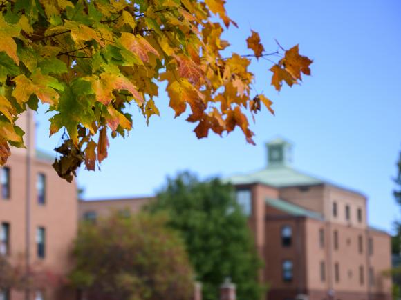 Images of maple leave turning color in the fall with Courtney Hall in the background