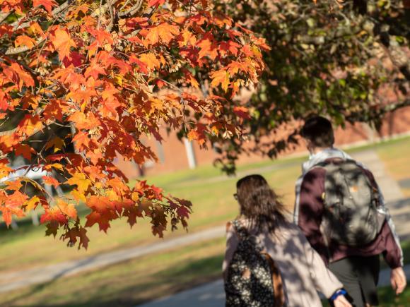 Tree with fall colors as students walk underneath