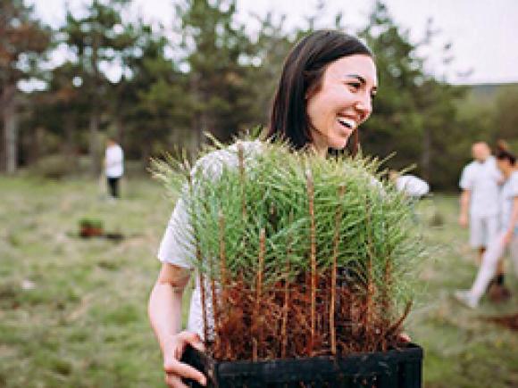 Environmental Science student planting trees