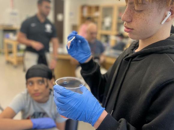 A young student in a laboratory experiment where he is putting samples of fruit into a cup.