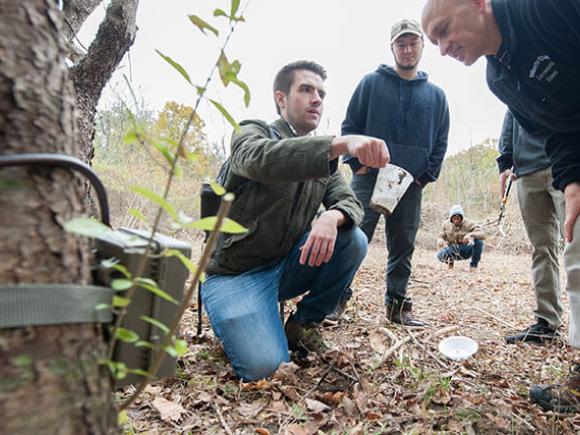 Multiple students conduct observations in a forested area.