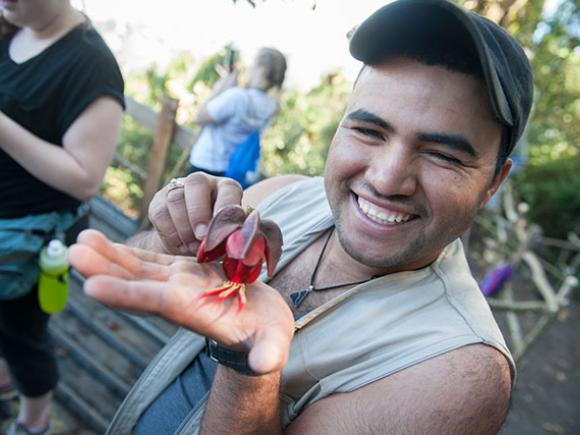 A person holds a tropical flower in the palm of their hand.