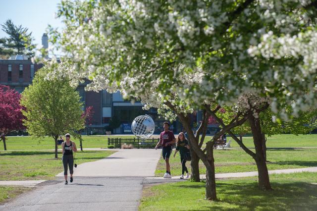 Campus green in the spring