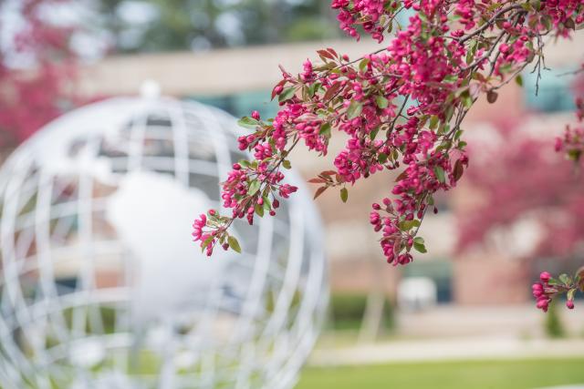 campus