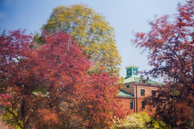 Image of flowering trees in the spring with Courtney Hall in the background