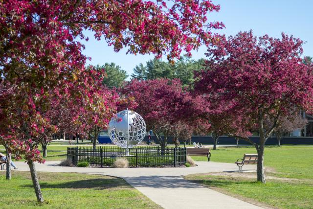 Trees with red blossoms in bloom surround the globe on the campus green