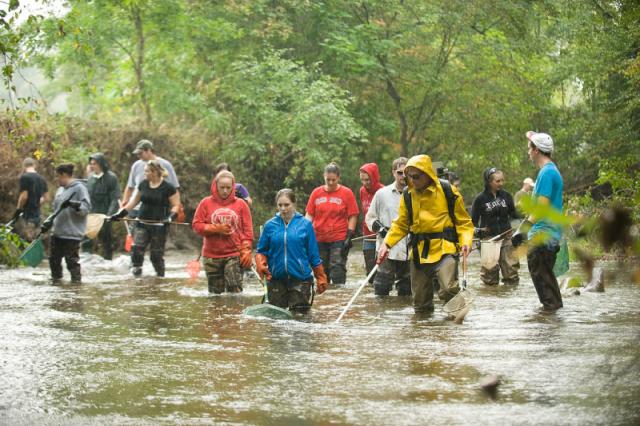 Biology students gather live specimens from a local stream to analyze back at the lab