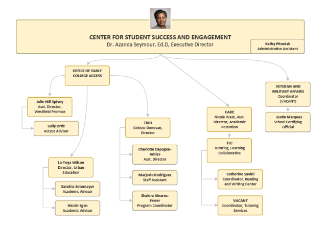 Center for Success and Student Engagement Organization Chart, Part Two