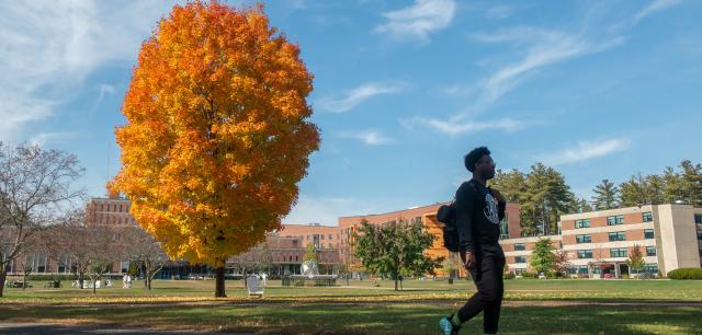 Students Walking Across Campus 