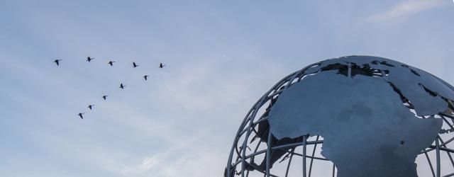 Birds Flying Over Globe