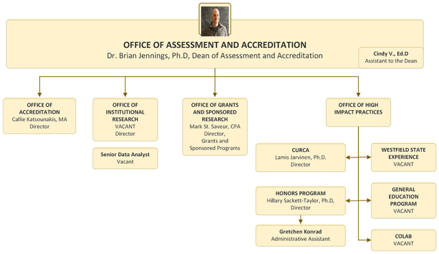 Organization chart for the Office of Assessment and Accreditation