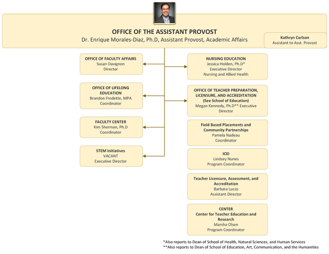 Organization chart for the Office of the Assistant Provost
