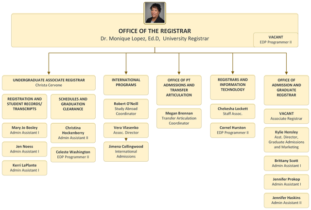Organization chart for the Registrar's Office