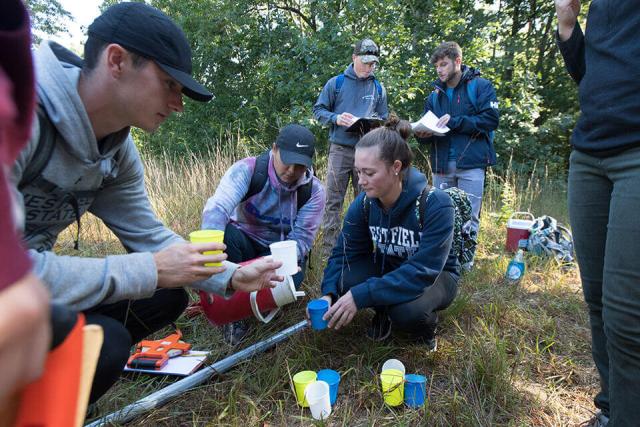 Students conducting environmental observations in a grassy area surrounded by trees.