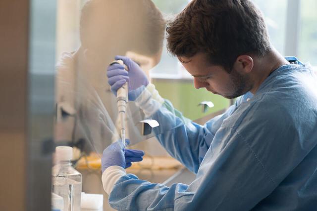  A student wearing protective clothing and gloves conducts an experiment in a laboratory setting.