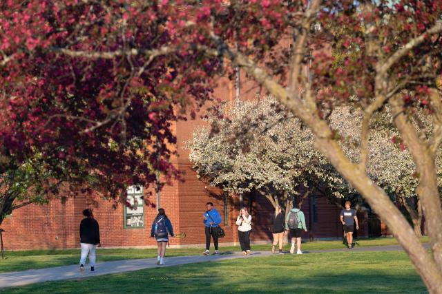 Campus in the spring