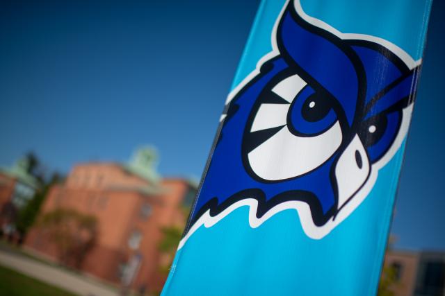 University flag with mascot logo