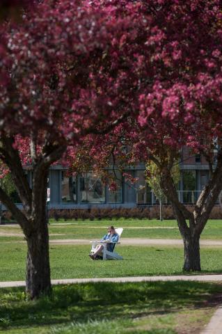 Person sitting on campus green in white lawn chair