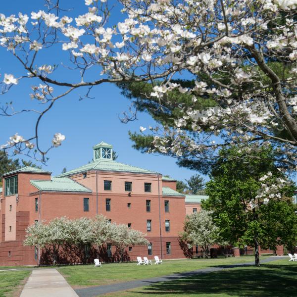 Trees in blossom on the campus green with Courtney Hall in the background