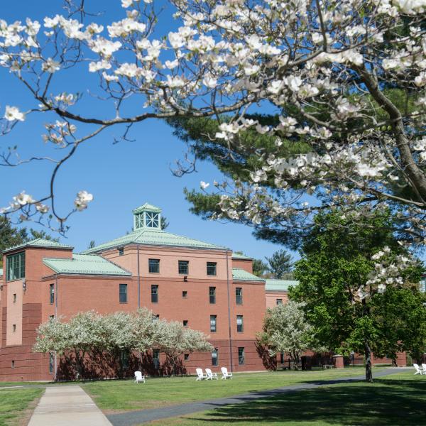 Trees in bloom on the campus green with Courtney Hall in the background