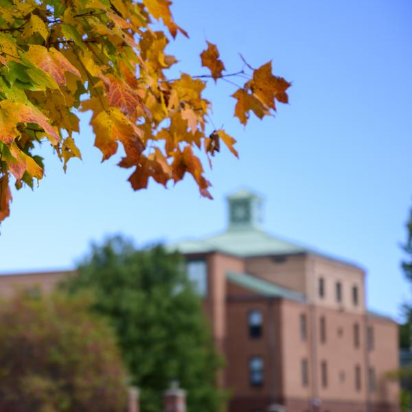 Images of maple leave turning color in the fall with Courtney Hall in the background