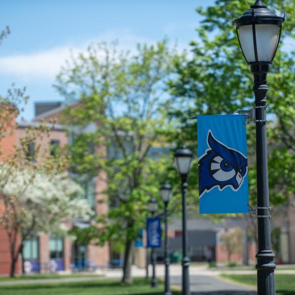 WSU campus in the spring with flowering trees and light post with blue owl spirit mark flag.