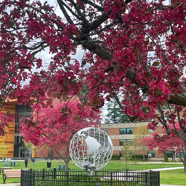 Campus globe in the spring with pink flowering trees surrounding it.