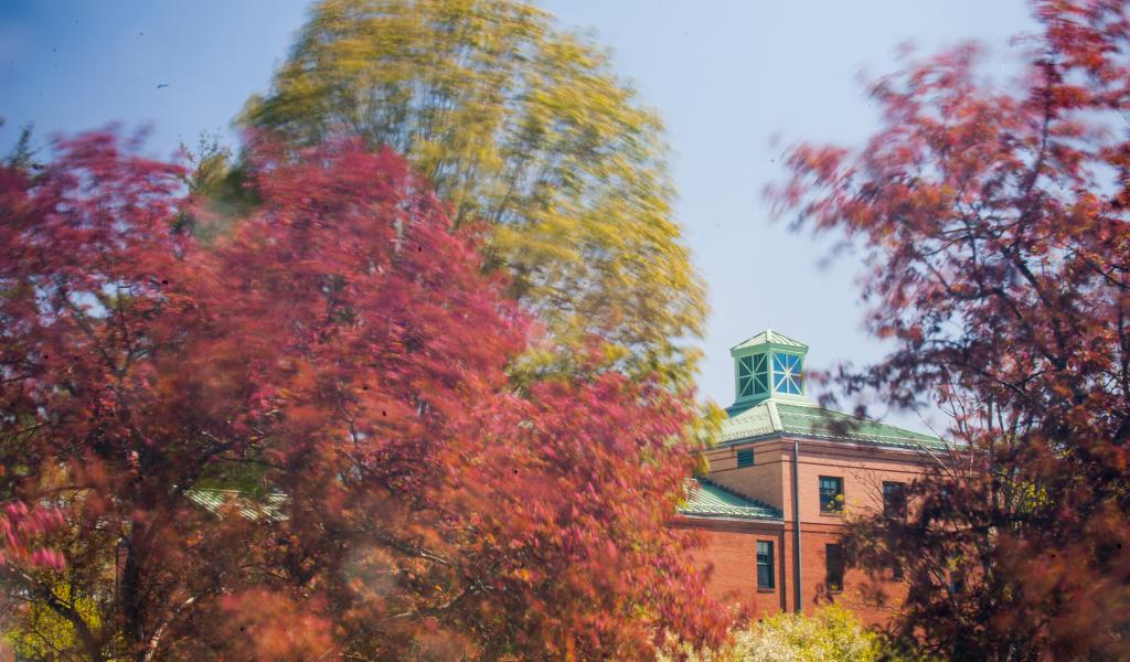 Rankings, Awards & Distinctions Westfield State University