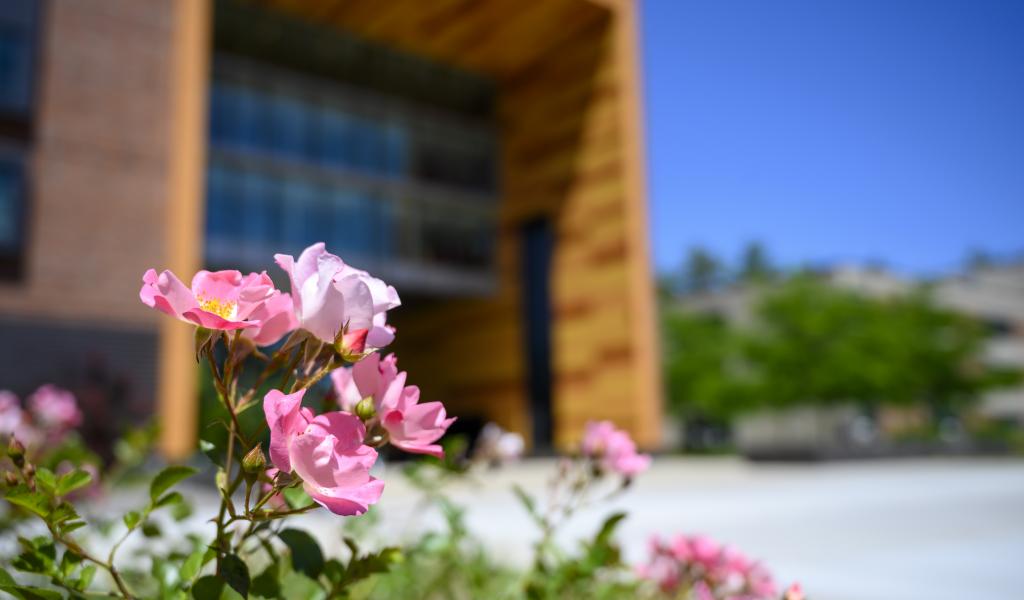 university hall