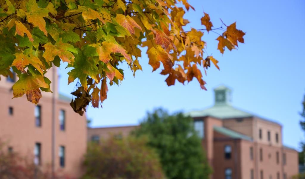 Images of maple leave turning color in the fall with Courtney Hall in the background