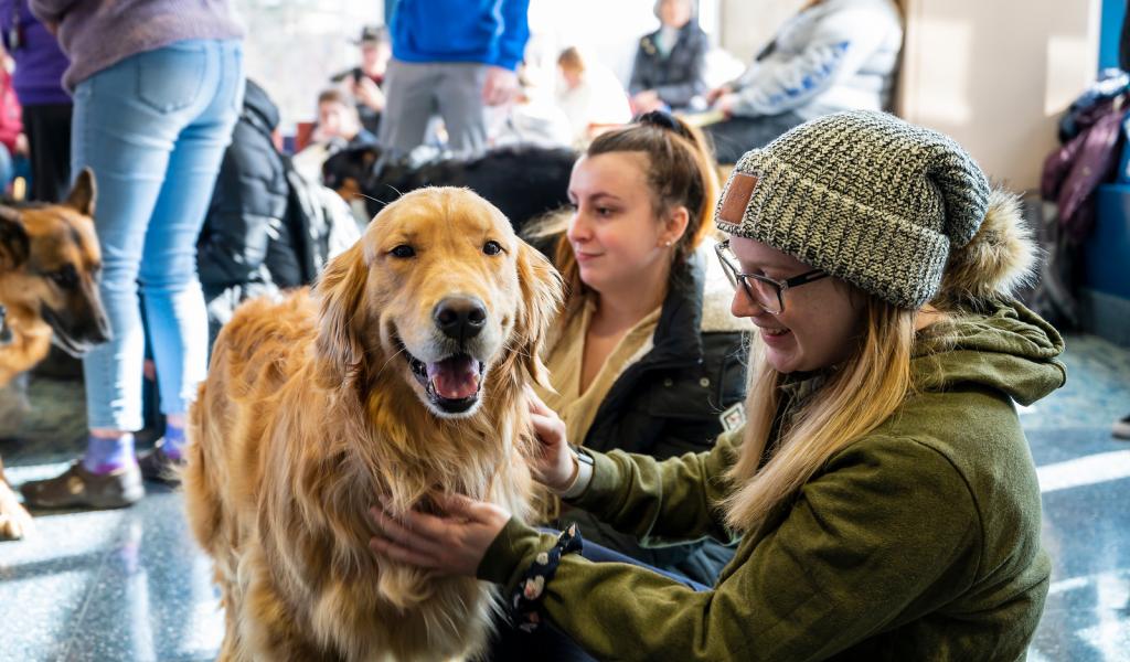 Two females students pet a happy golden retriever dog during a Pet Therapy session